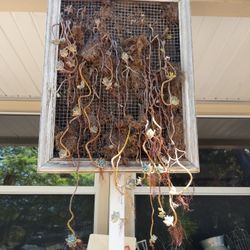Succulent Living Wall Wooden Frame