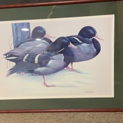 MALLARD PRINT HAND SIGNED IN RIGHT CORNER BY ORIGINAL ARTIST 