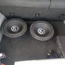 Two Memphis 12 Dual Voice coil 
