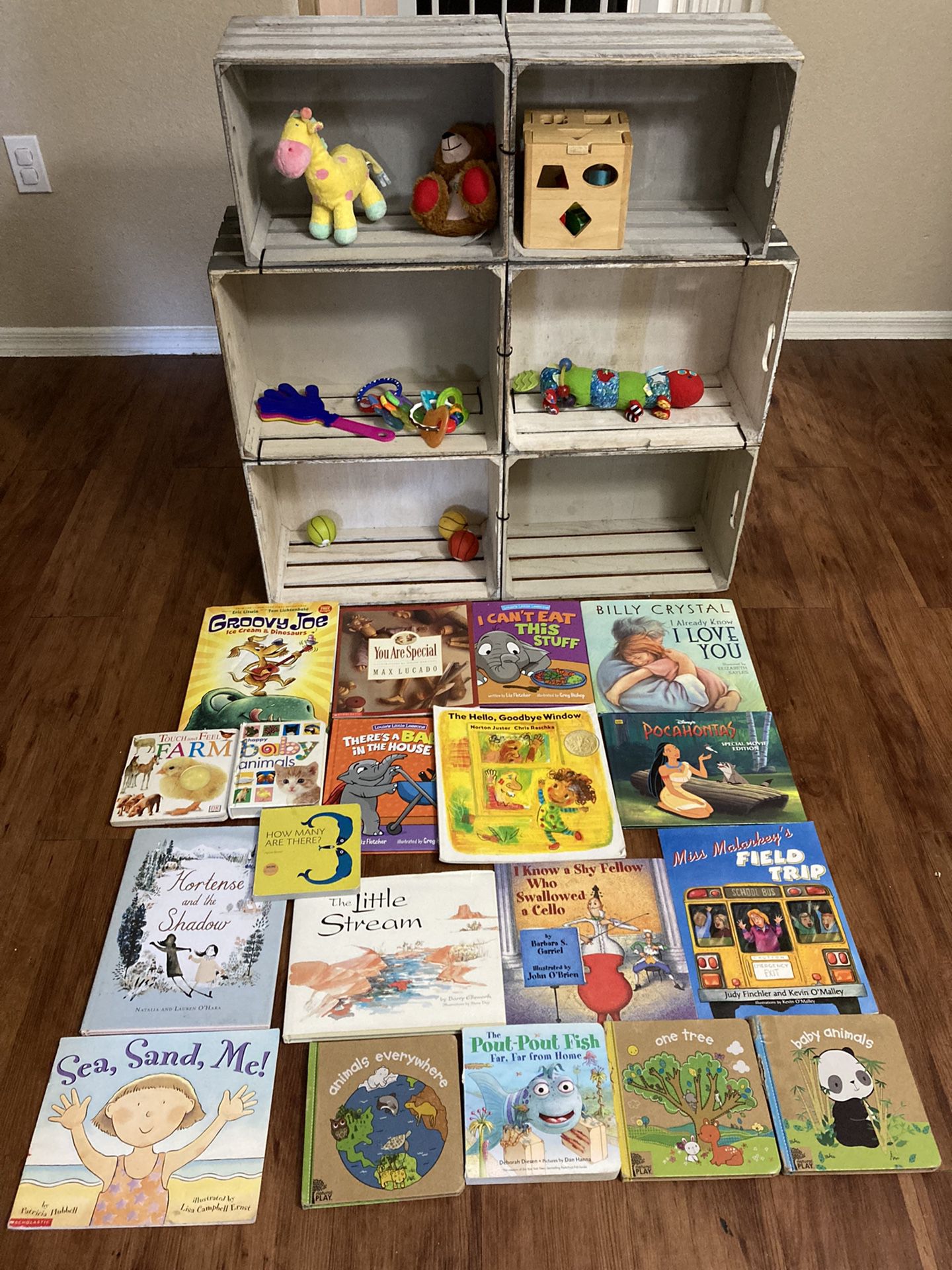 Kid’s Books, Toys, and Wooden Crate Bookshelves 