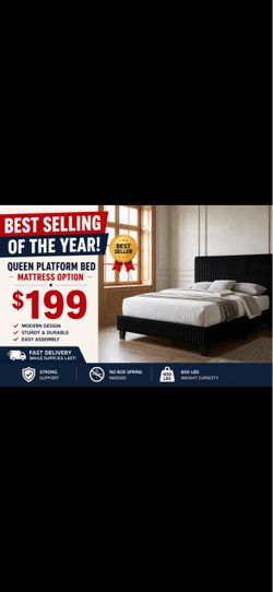 Queen Platform Bed