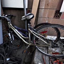 2 Bicycles Bundle – Adult + Teen Bike