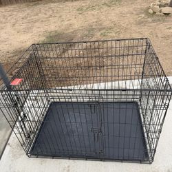Dog Cage