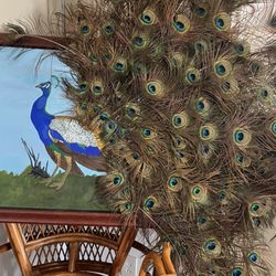 An artistic painting of a peacock with beautiful feathers.