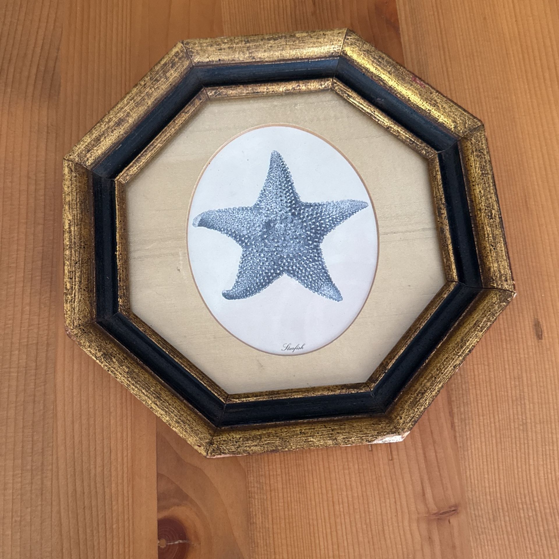 Starfish Print