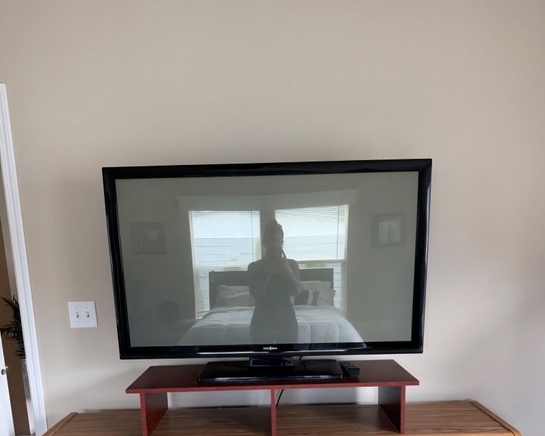 50' Insignia Plasma TV