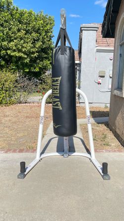 Everlast Stand and 100 lb heavy bag