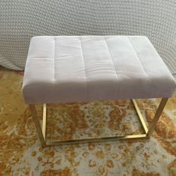 Velvet And Gold Accented Ottoman Bench