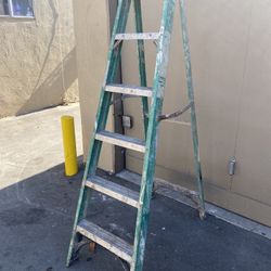 Werner Fiberglass 6’ Ladder