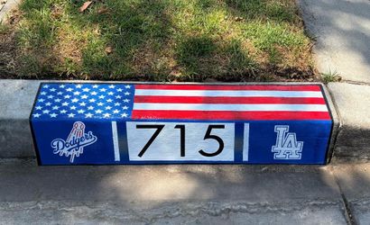 🔥🔥Custom curb art with address🔥🔥