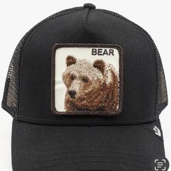 bear cap
