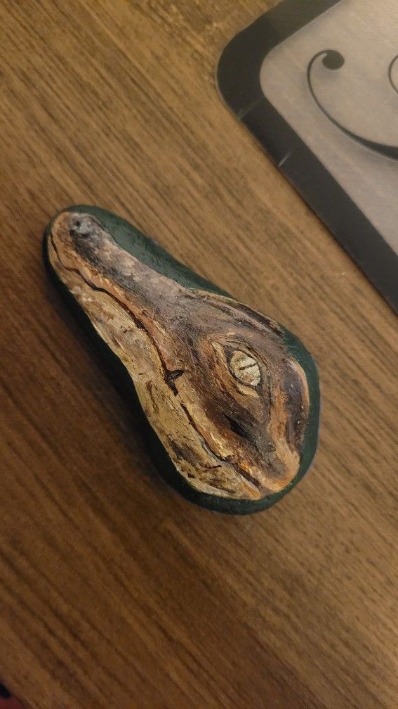 Fish/Gator Rock