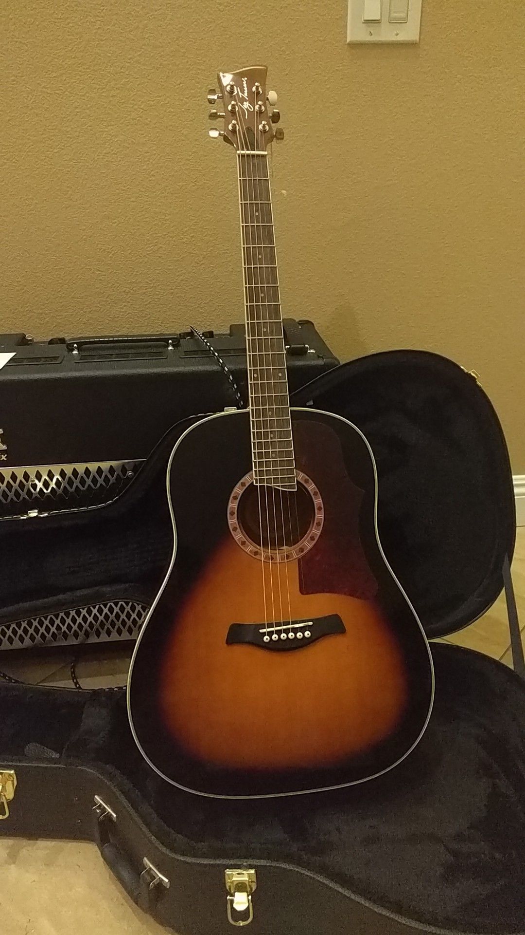 Jay Turser JTA 560 VS acoustic guitar w/hard case