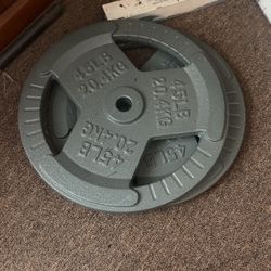 45x2 plates 