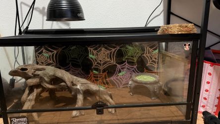 Reptile tank