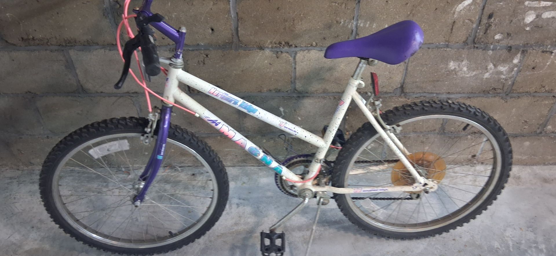Magana womans moutain bike