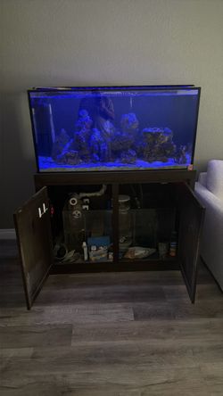 Salt fish tank