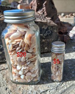 Tumbled sea shell fragments, mother of pearl, nacre, iridescent