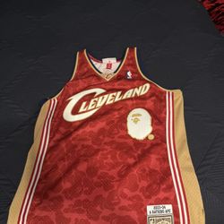 Bape Mitchell & Ness Jersey 