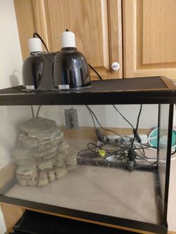 40-gallon breeder tank
