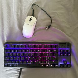 Steel Series Apex pro TKL Keyboard And Logitech Superlight Pro Gaming Mouse