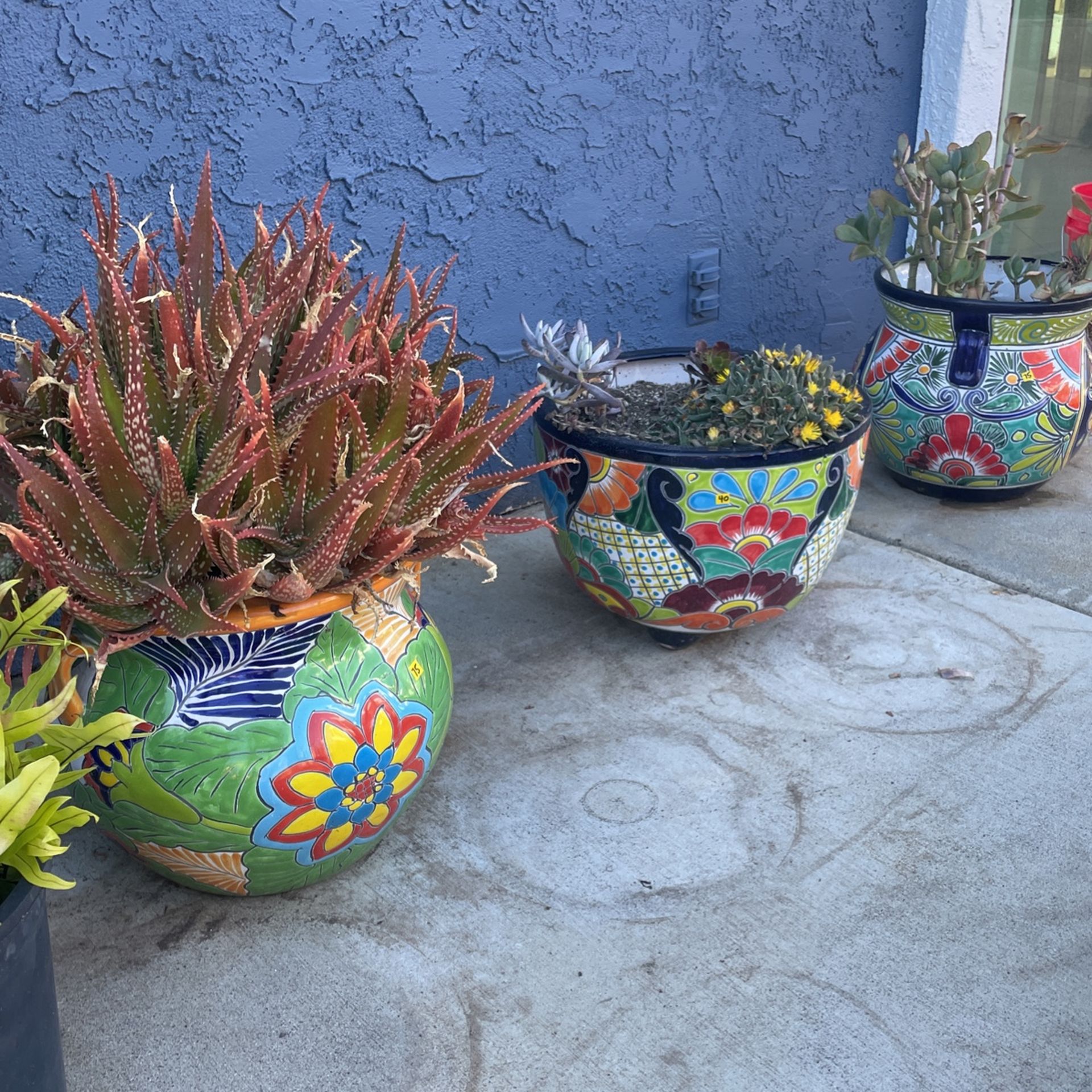 Talavera Pots