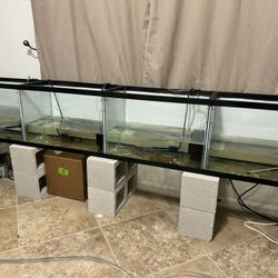 1 set 20 gallon fish tank ,with 100w heater ,and sponge filter . 