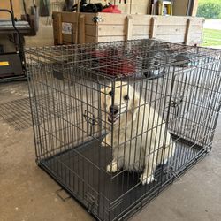 XL Wire Dog Crate