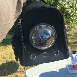 Cat Bag