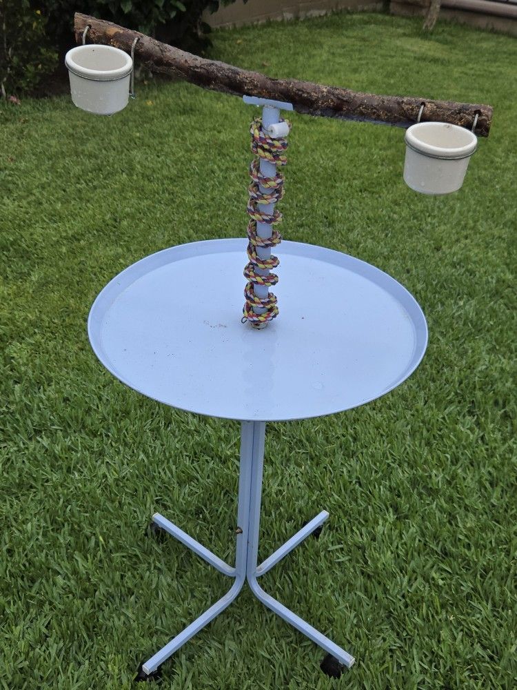 Bird Stand