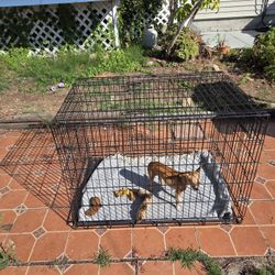 LARGE Dog Crate – Solid, Folds Flat, Ready for a New Pup – $44