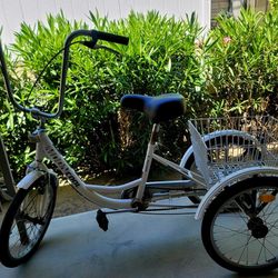 Adult Tricycle 