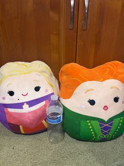 Squishmallows/ hocus pocus