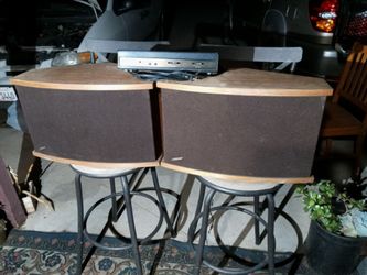 Bose Autistic Reflex Speakers And Equalizer