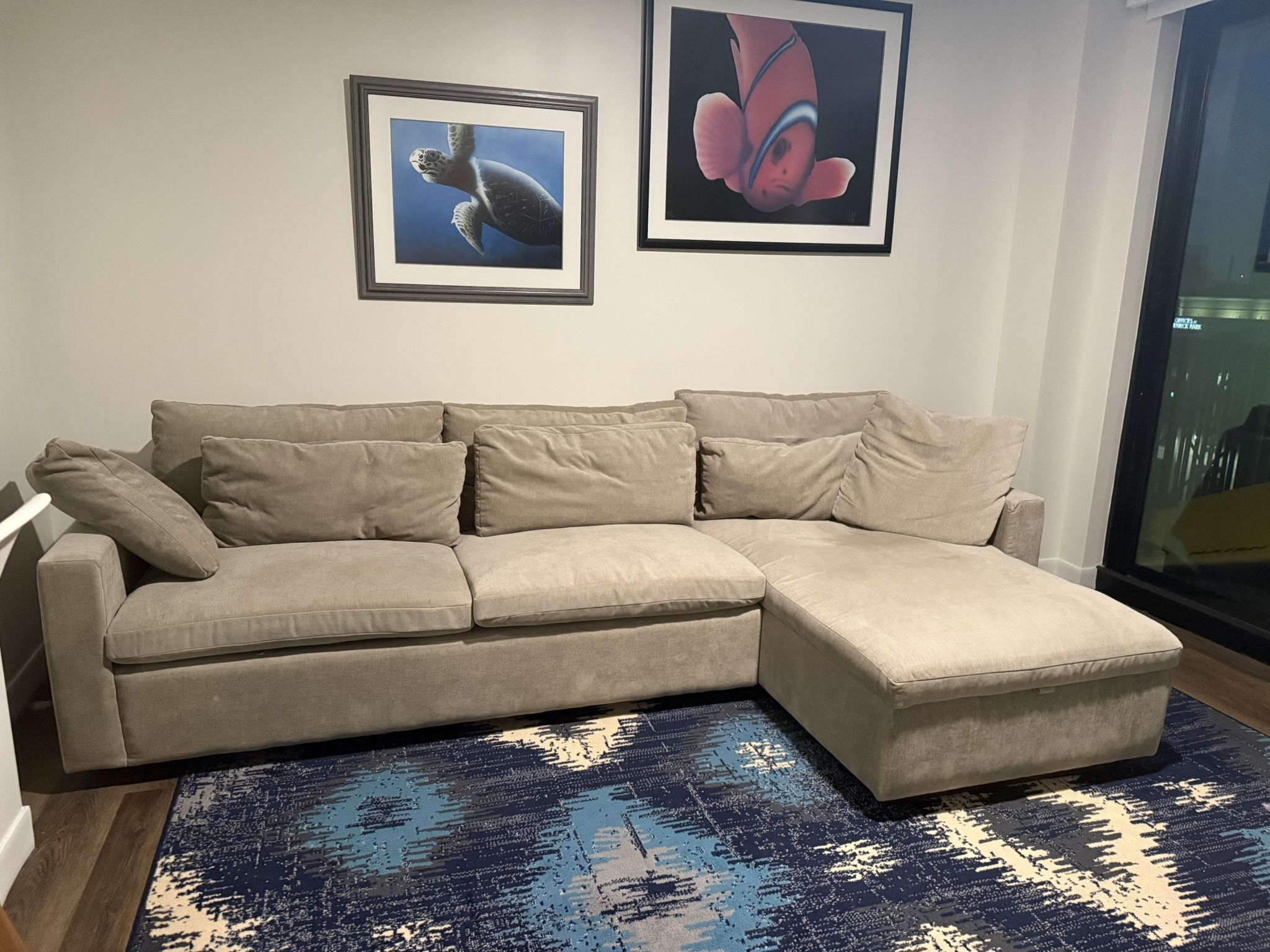 West Elm Sleeper Sofa