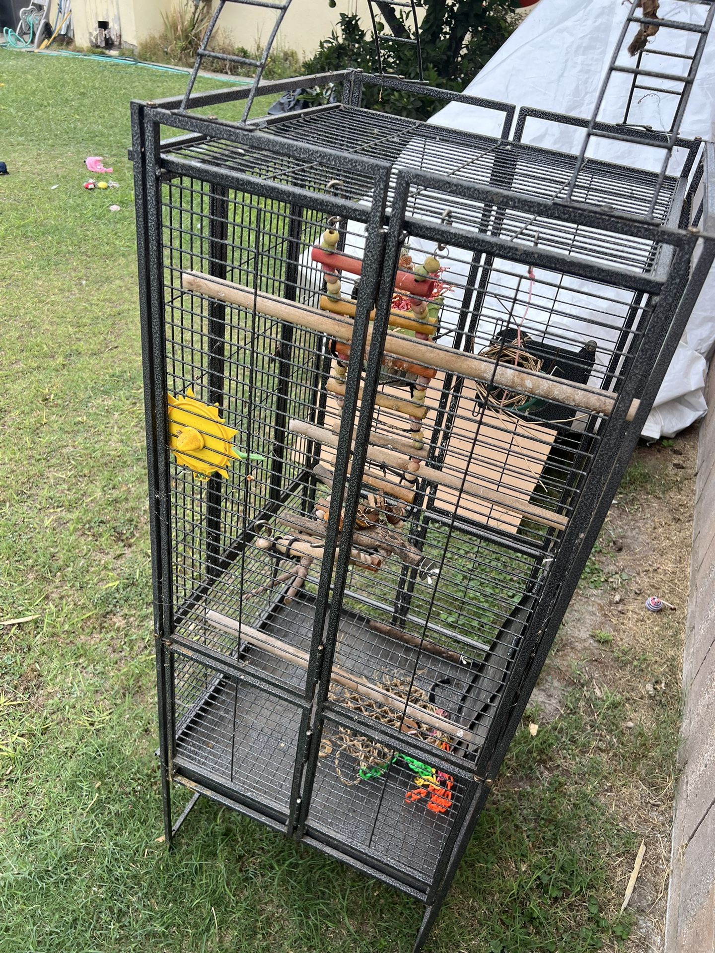 Bird Cage