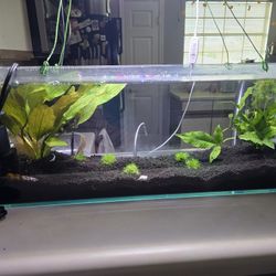 6.5g Fish Tank
