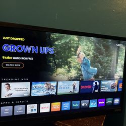 32 in Vizio Smart TV