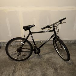 Trek Mountain Bike - Size 21”