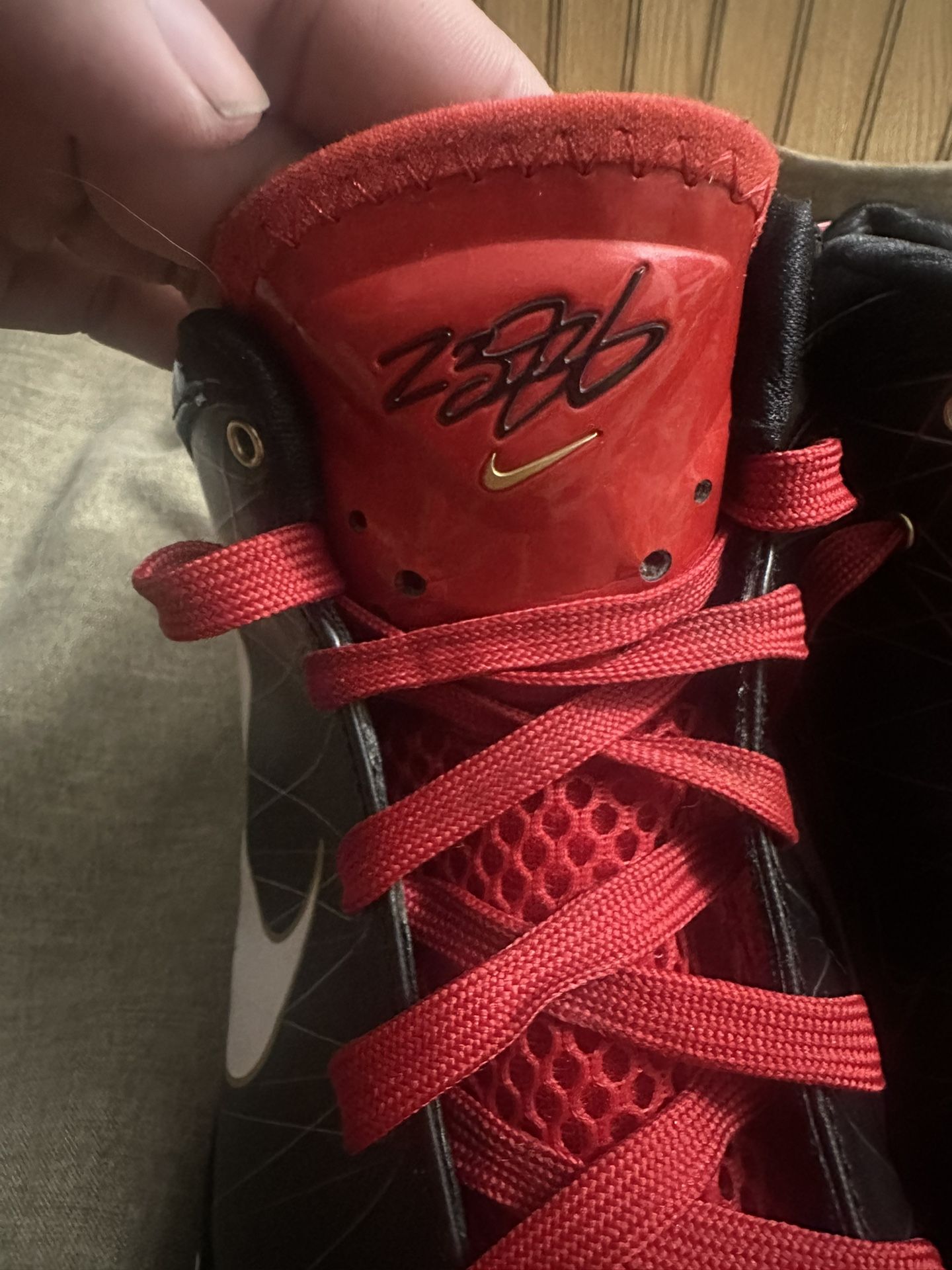 Lebron James 7, Bred Size 2009