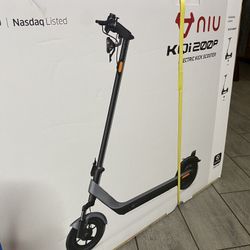 Electric Scooter 