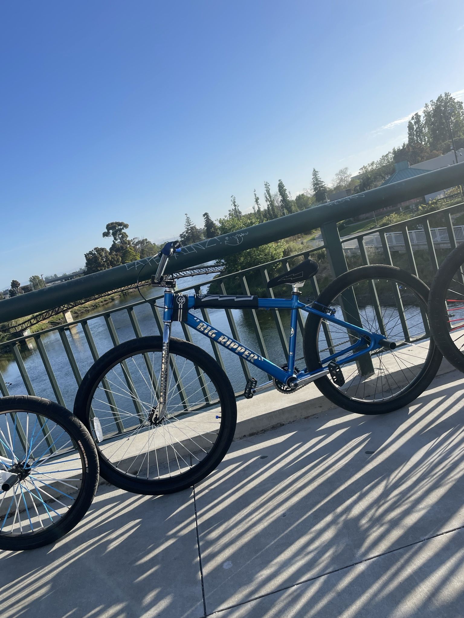 Cg X Big Ripper