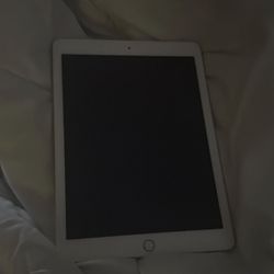 iPad 5th Gen 