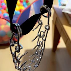 Medium Dog Training Collar