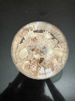 Beach Water Globe