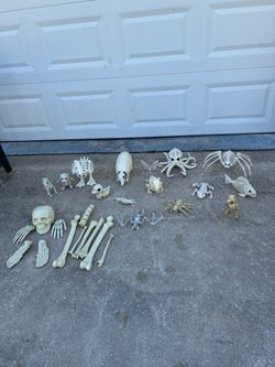 Halloween Skeleton Prop Lot - 15+ Pieces (Animals, Bones, Creatures)