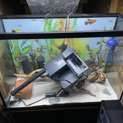 29 Gallon aquarium
