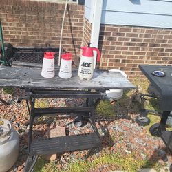 3 Pump Sprayers