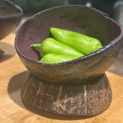 2 Piece Polished Bowl With Circle Coconut Base 