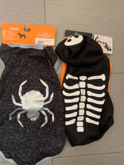 Halloween Dog Outfits